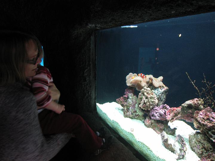 Seattle Aquarium 26.JPG